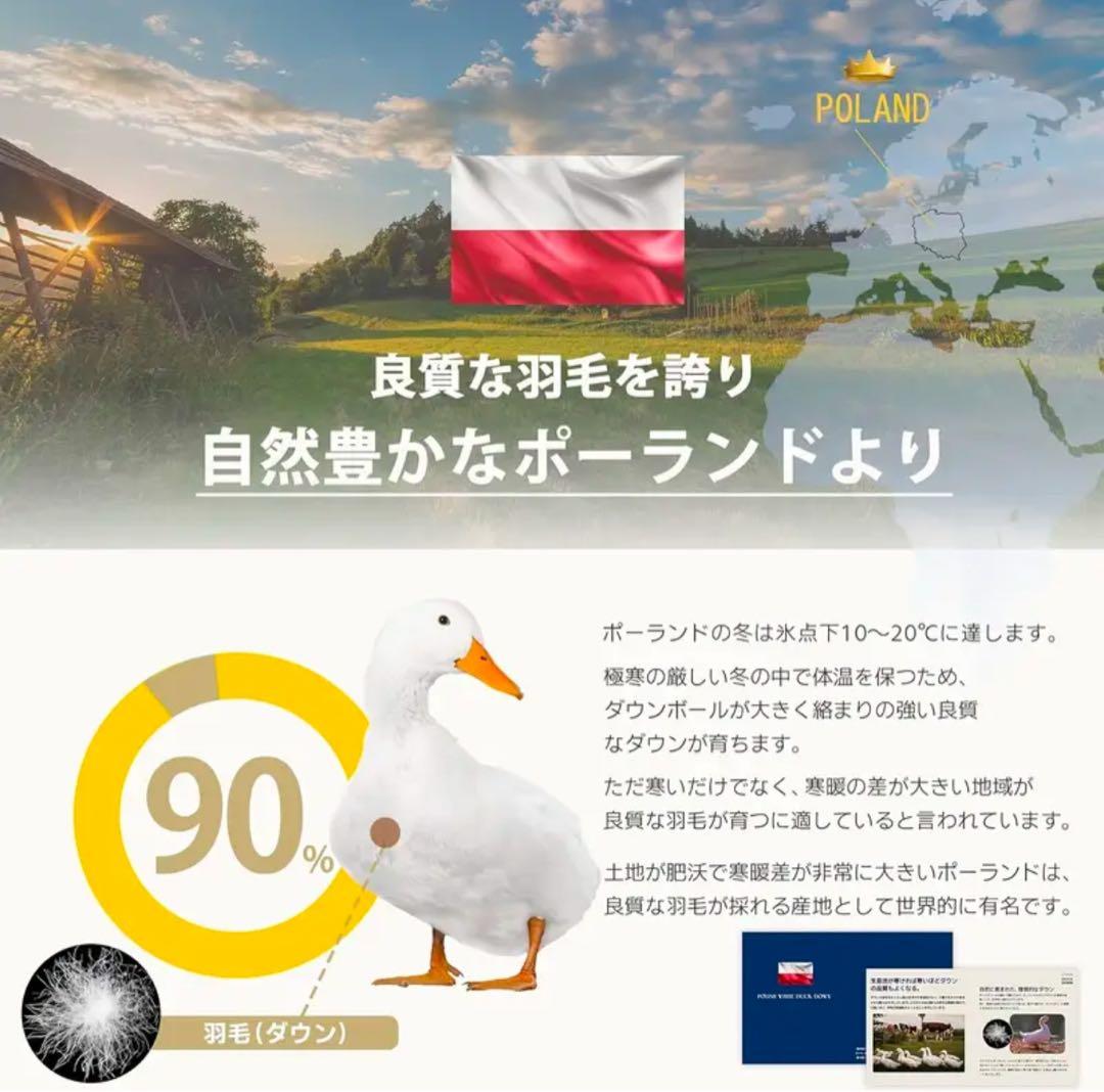 羽毛布団 シングル ポーランド産ホワイトダックダウン90% フェザー10%