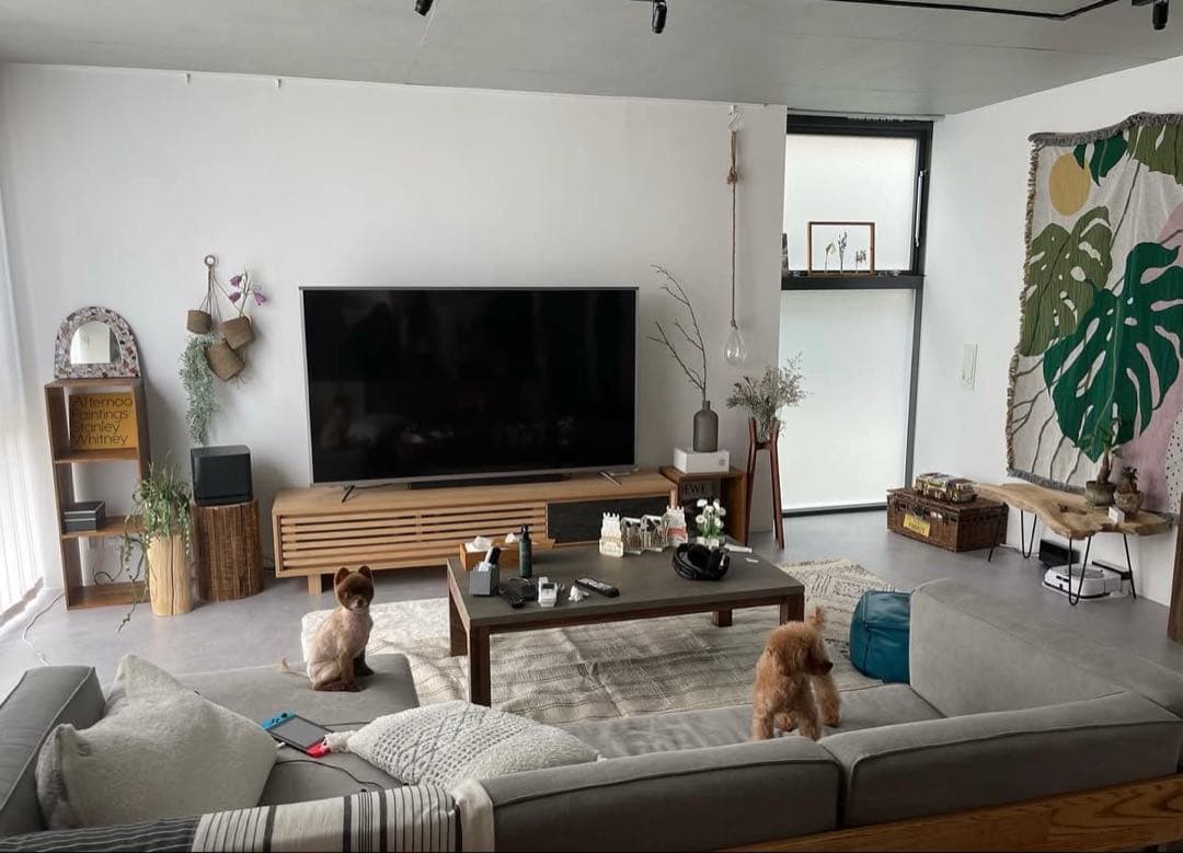 Slowdown studio モンステラ　大判ブランケット