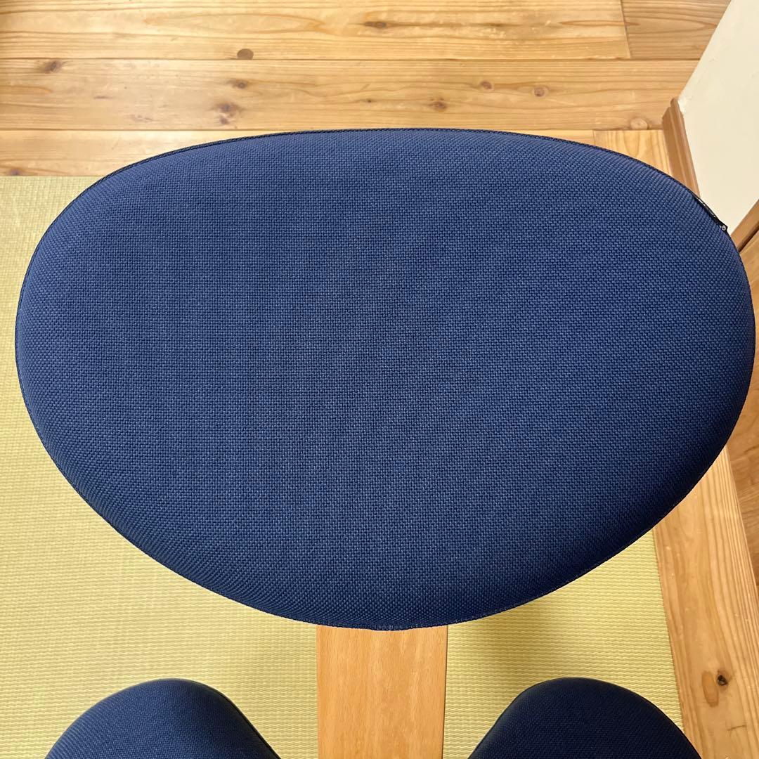 サカモトハウス バランスチェア イージー balans Easy【カバー付き】②