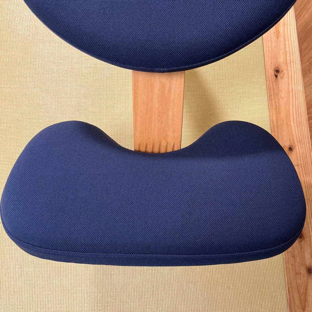 サカモトハウス バランスチェア イージー balans Easy【カバー付き】②