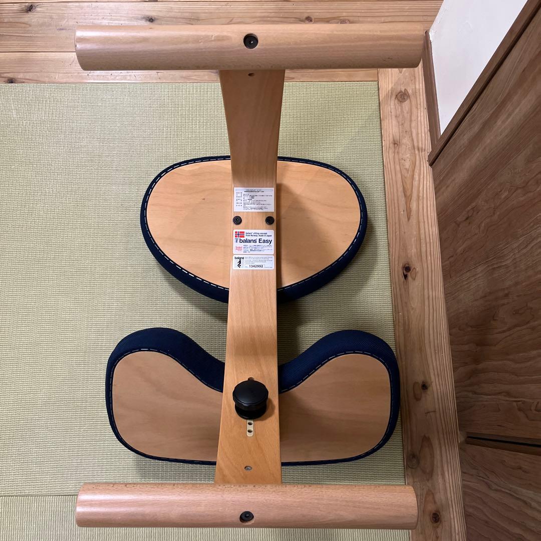 サカモトハウス バランスチェア イージー balans Easy【カバー付き】②