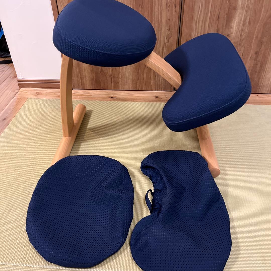 サカモトハウス バランスチェア イージー balans Easy【カバー付き】②