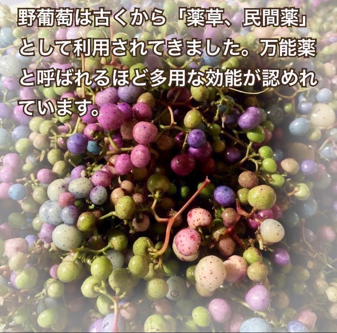 【厳選採取】馬ぶどう250g×12袋　1年分3kg うまぶどう　薬膳　民間療法