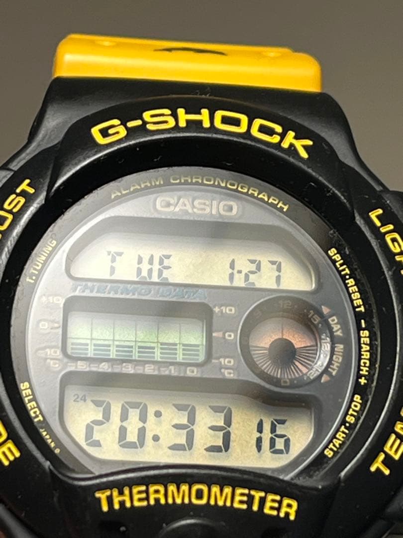 愛の戦士様　G-SHOCK dw-6100dw イルカクジラ