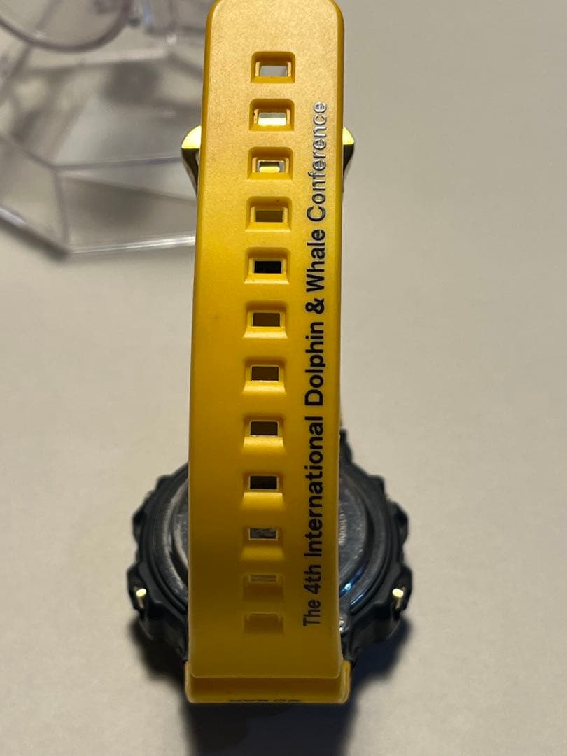 愛の戦士様　G-SHOCK dw-6100dw イルカクジラ