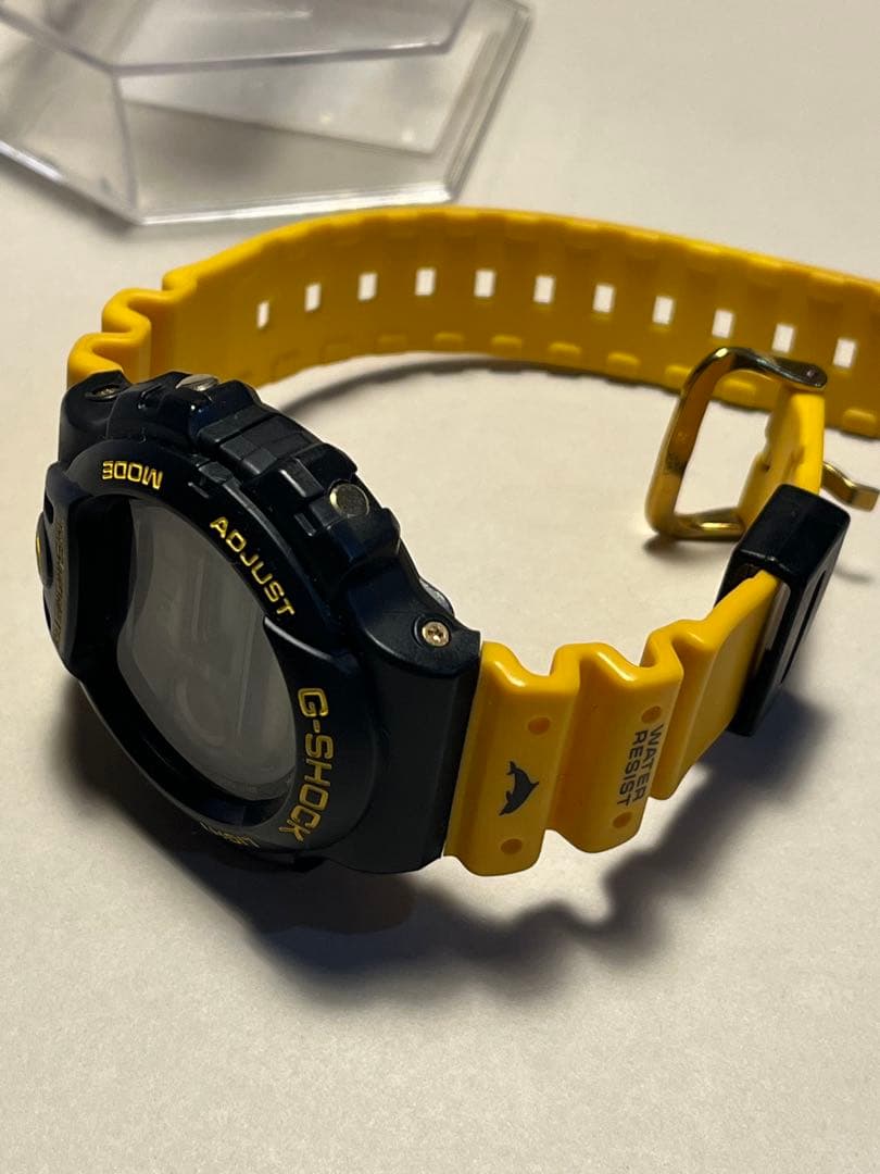 愛の戦士様　G-SHOCK dw-6100dw イルカクジラ