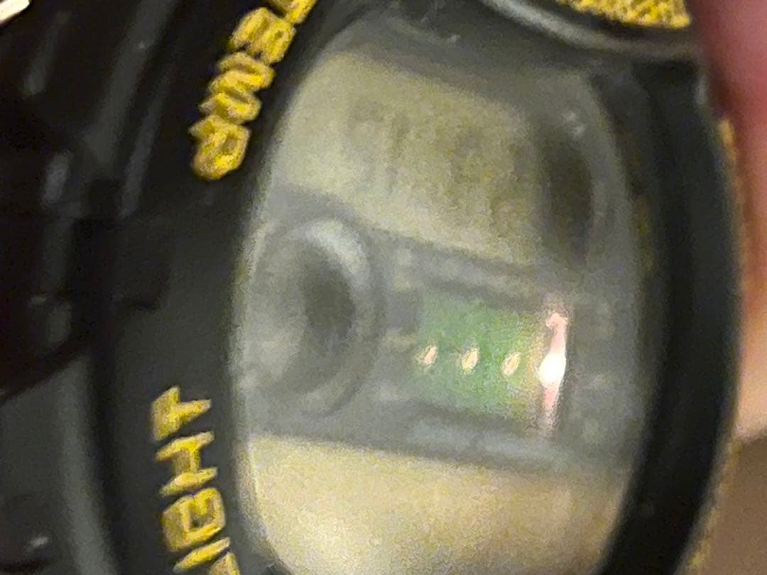 愛の戦士様　G-SHOCK dw-6100dw イルカクジラ