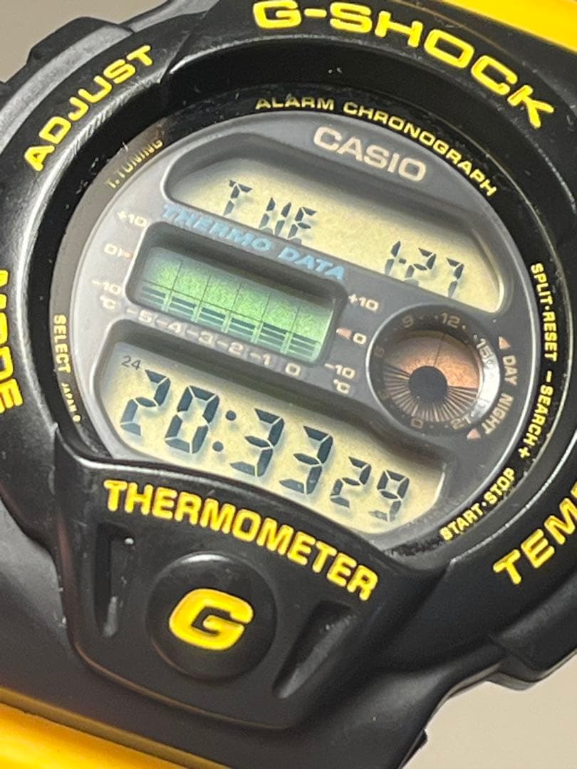 愛の戦士様　G-SHOCK dw-6100dw イルカクジラ