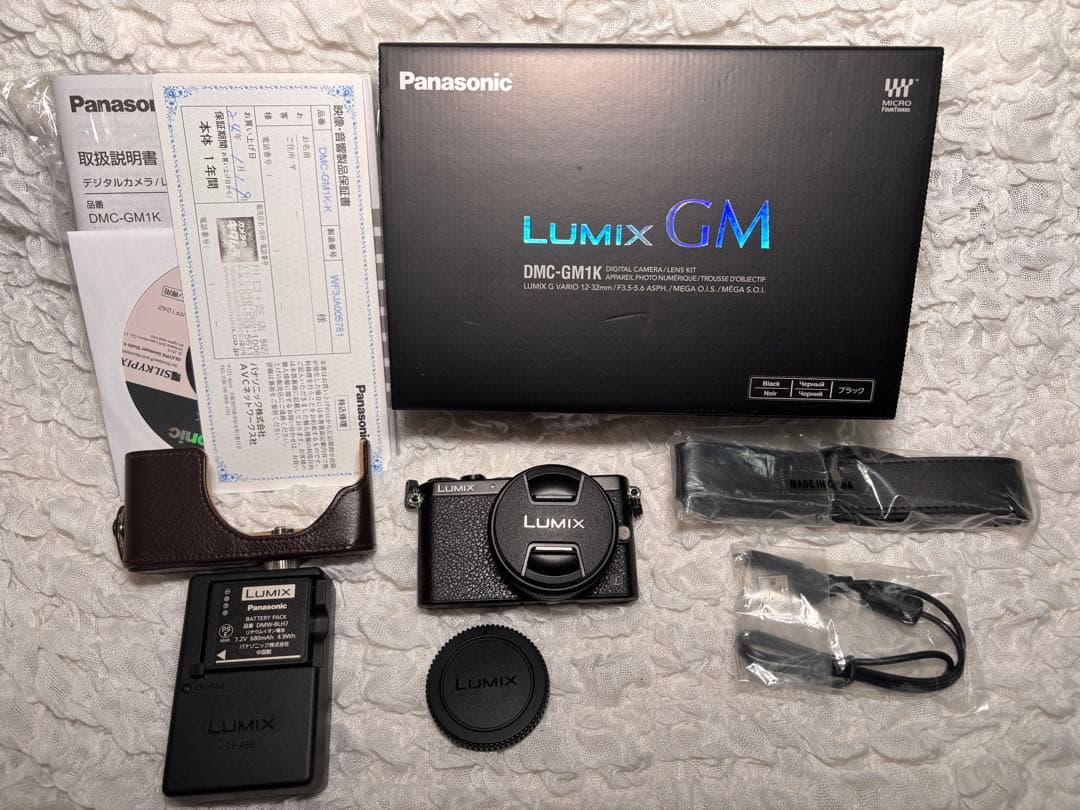 LUMIX DMC-GM1 本体 14mm F2.5 II 美品 レザーケース付