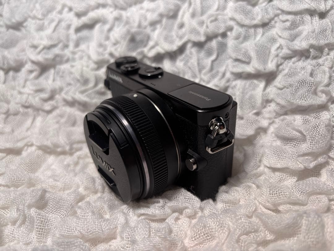 LUMIX DMC-GM1 本体 14mm F2.5 II 美品 レザーケース付