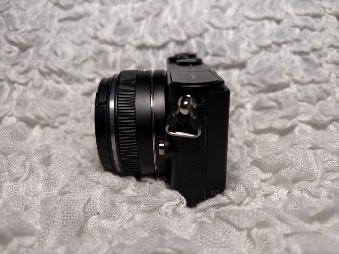 LUMIX DMC-GM1 本体 14mm F2.5 II 美品 レザーケース付