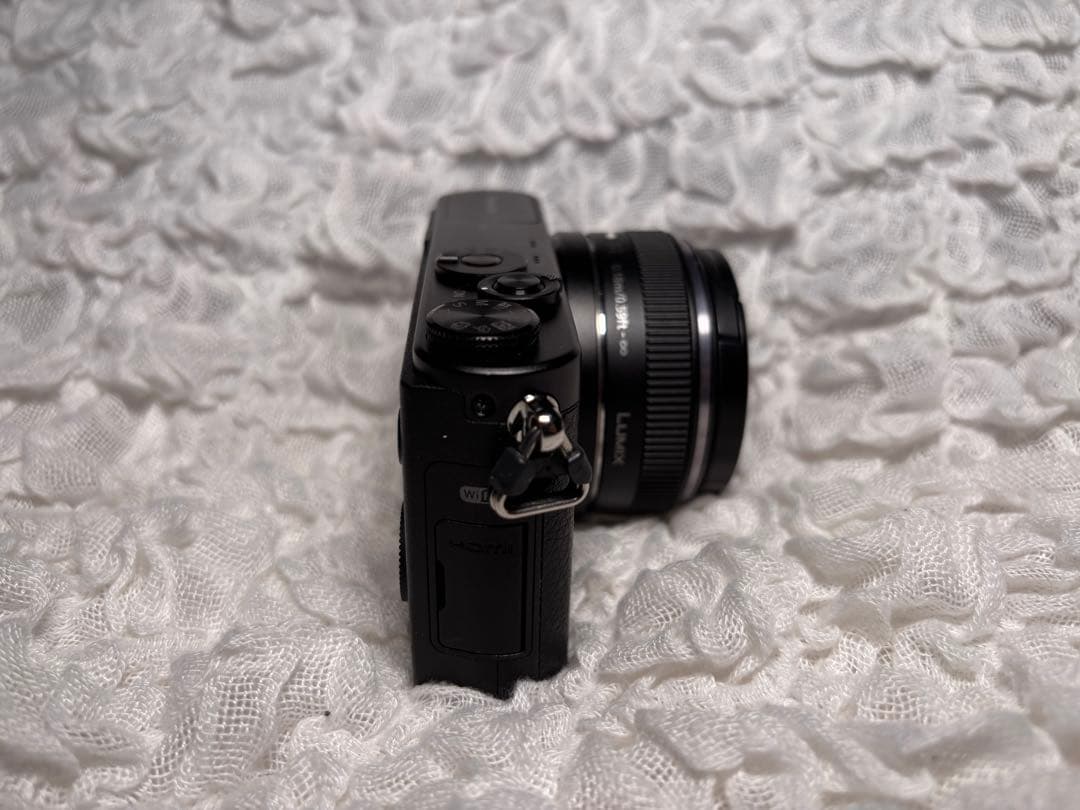 LUMIX DMC-GM1 本体 14mm F2.5 II 美品 レザーケース付
