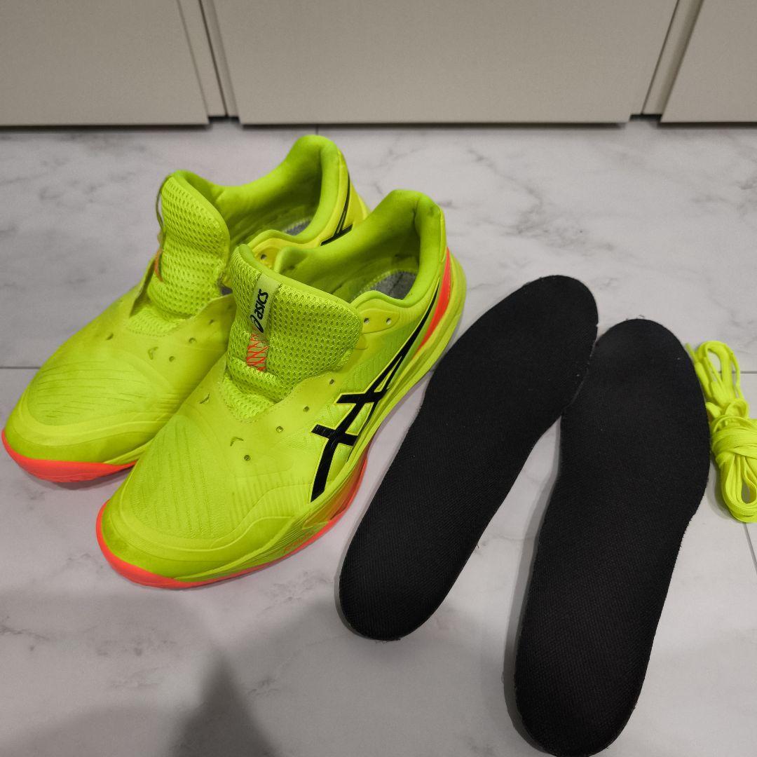 アシックス スカイエリートFF3 paris 28.5cm