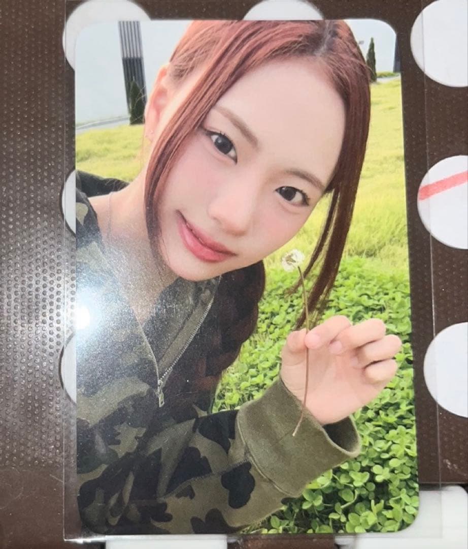 hippopprincess ヒポプリ スジン　トレカ