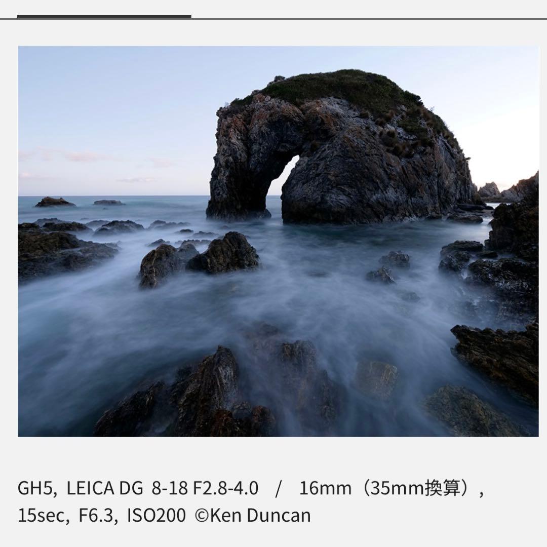 【極美品】LUMIX VARIO ELMARIT 8-18mm F2.8-4.0