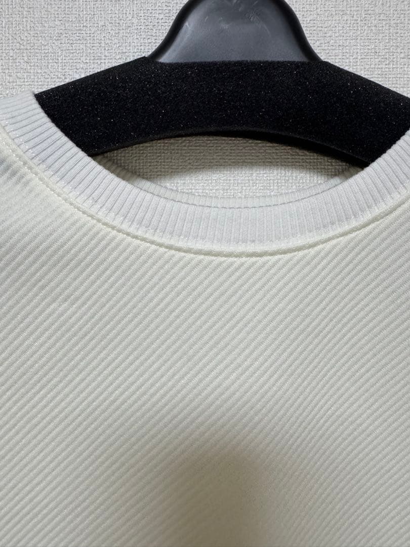 ayane カットツイルプルオーバー　オフ