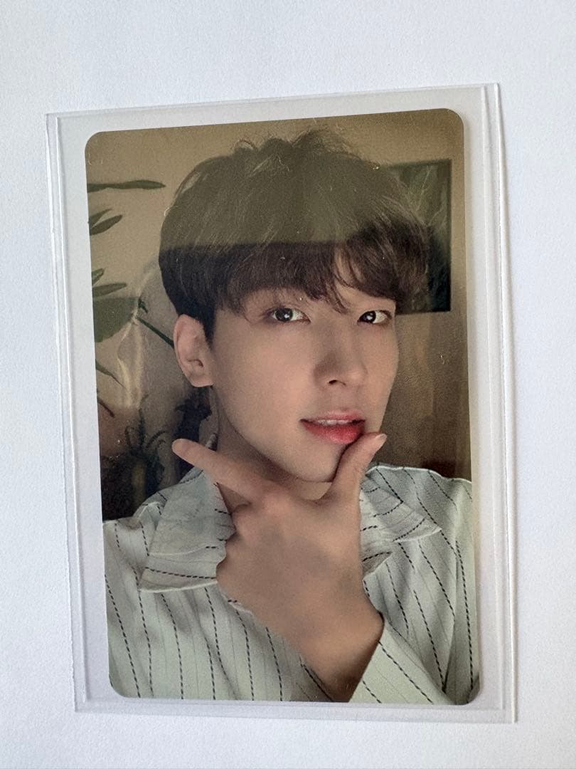 セブチ トレカ ウォヌ