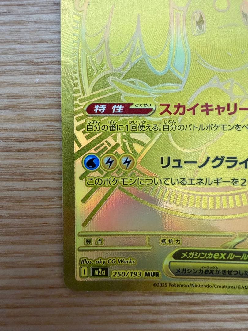 メガカイリューex MUR 自引き MG保管 即日発送