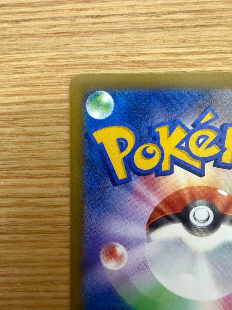 メガカイリューex MUR 自引き MG保管 即日発送