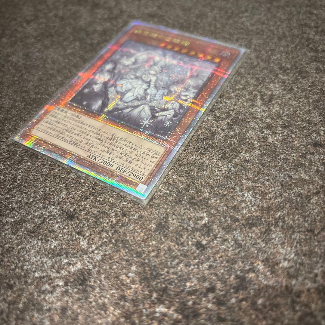 迷宮城の白銀姫 絵違い(レディ・オブ・ラビュリンス)25th クオシク