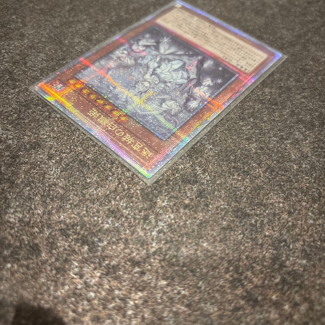 迷宮城の白銀姫 絵違い(レディ・オブ・ラビュリンス)25th クオシク