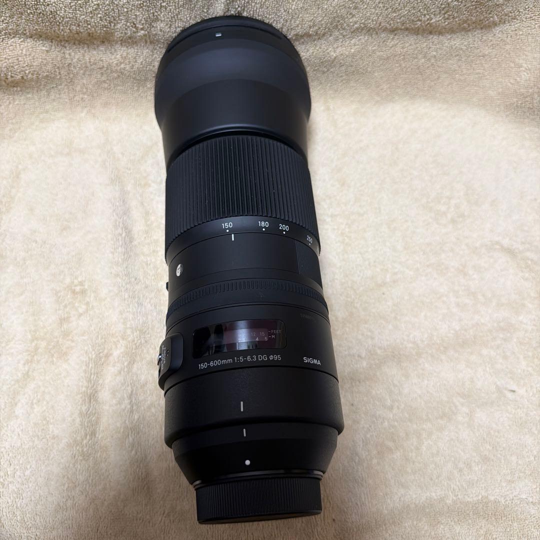 Sigma 150-600mm F5-6.3 DG OS HSM ニコンF