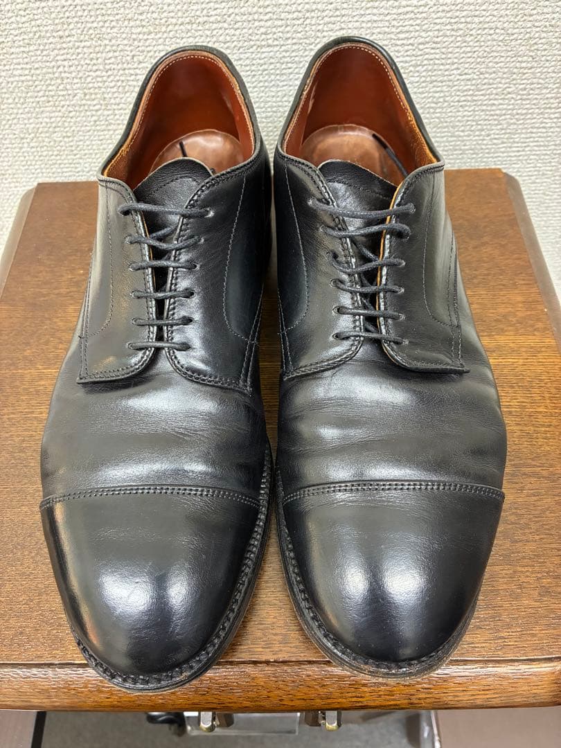 ALDEN オールデン　ストレートチップ　サイズ9D カーフ