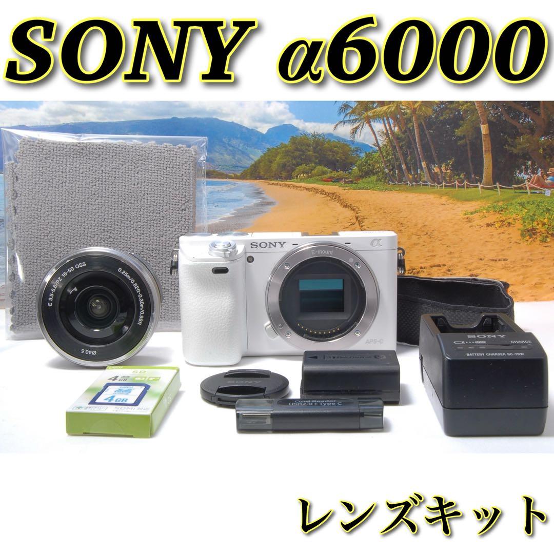 初心者でも安心 WiFi機能搭載 SONY α6000 軽量 高画質ミラーレス