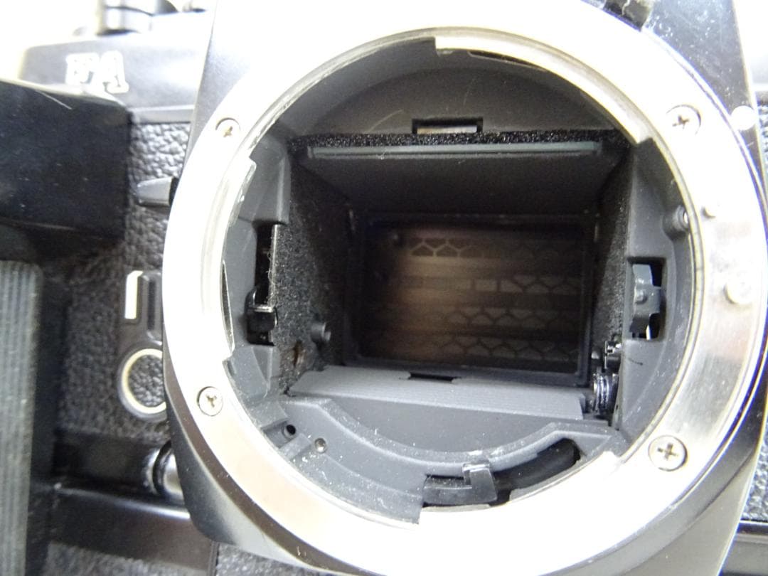 の*1様 鹿032 Nikon FA 一眼レフ NIKKOR 50㎜ F1.4