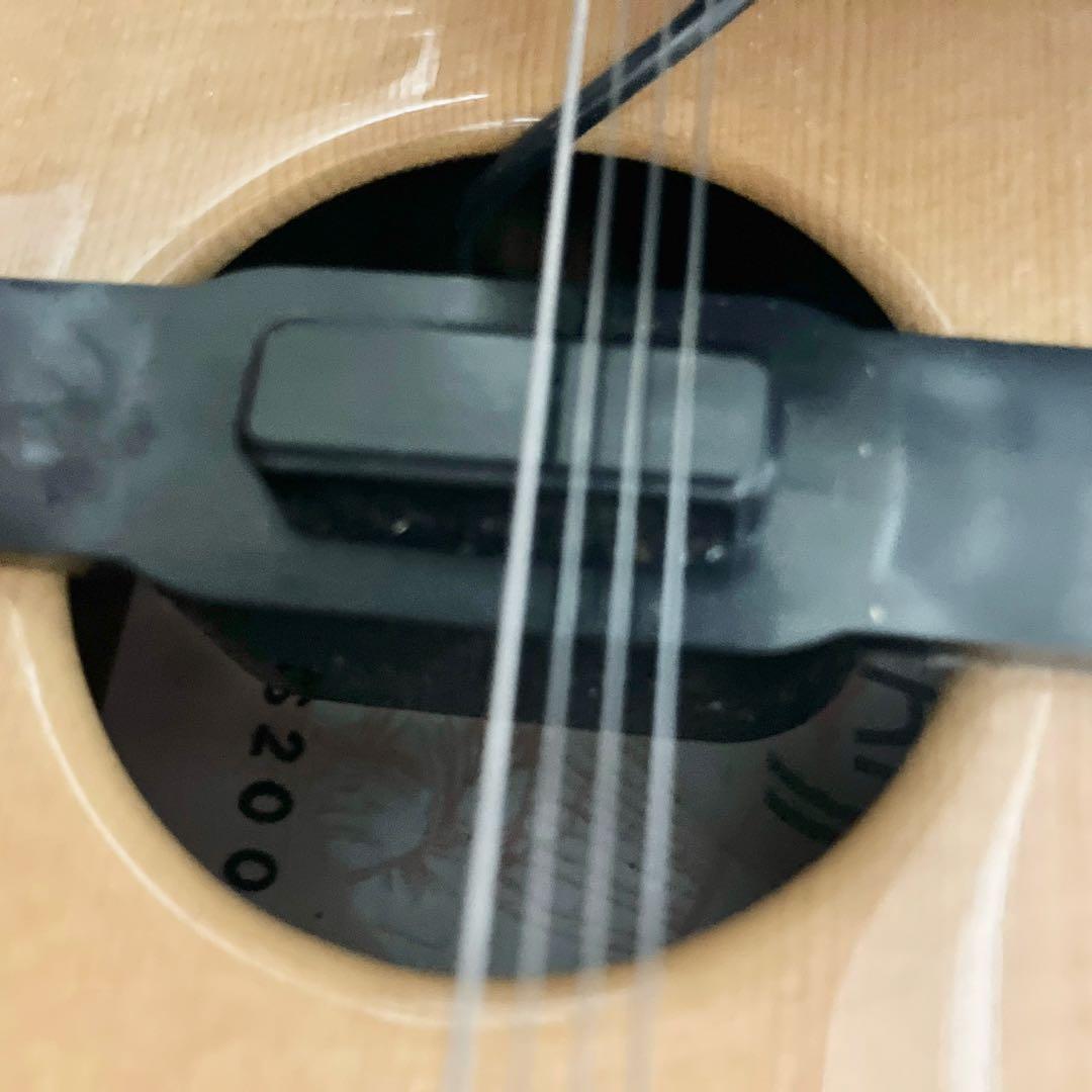 現状品　ライリッシュ 大正琴 LSS200 Lyrissh ソフトケース付き