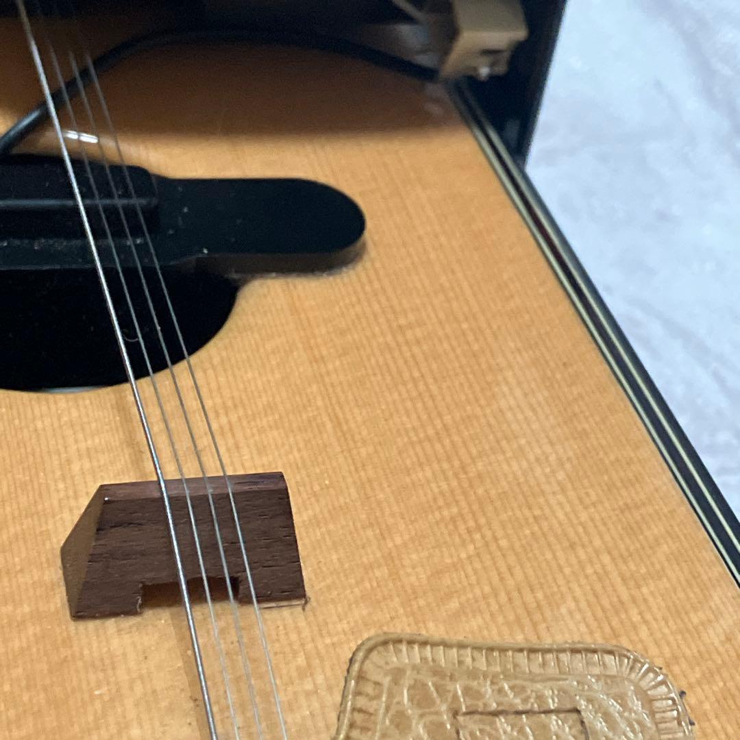 現状品　ライリッシュ 大正琴 LSS200 Lyrissh ソフトケース付き