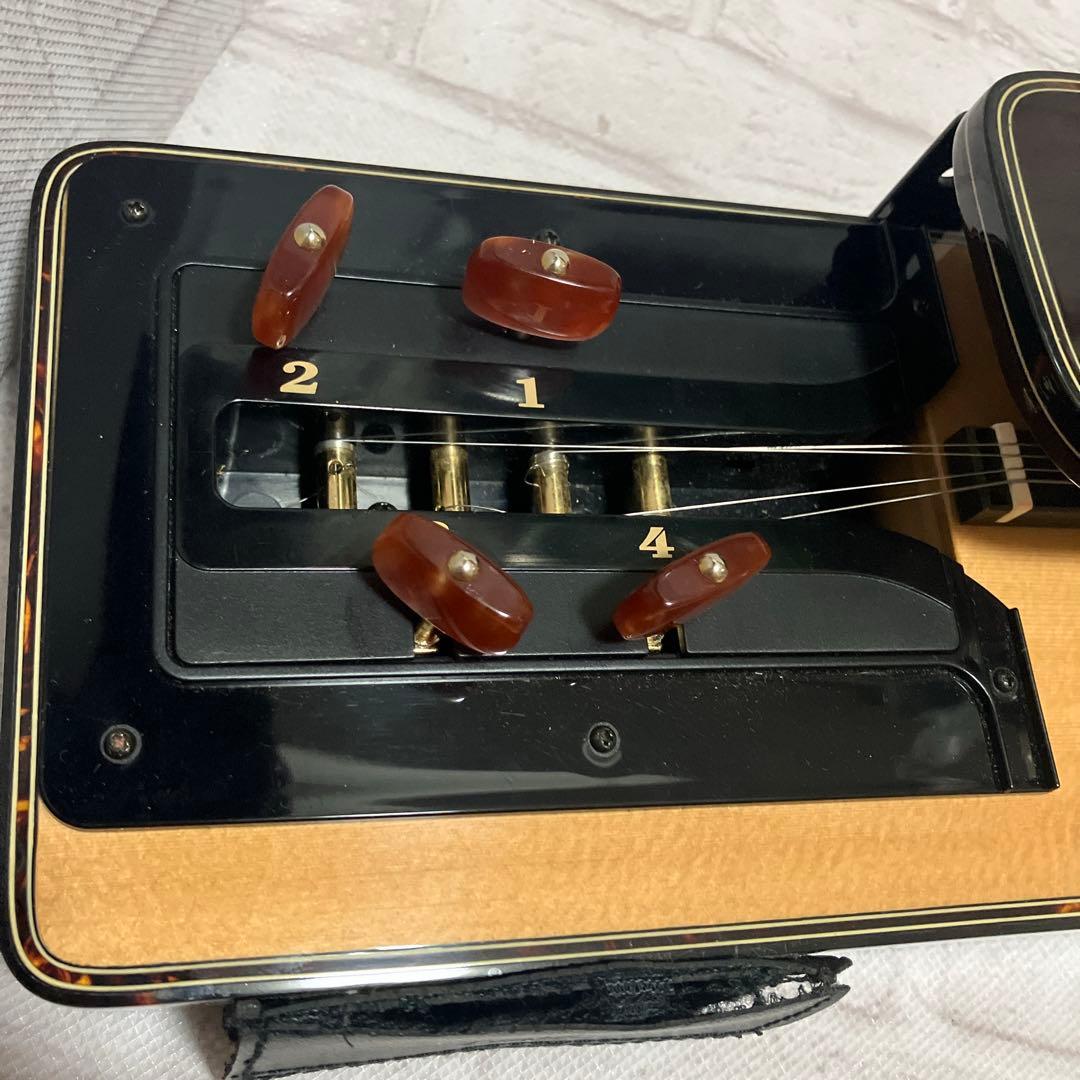 現状品　ライリッシュ 大正琴 LSS200 Lyrissh ソフトケース付き