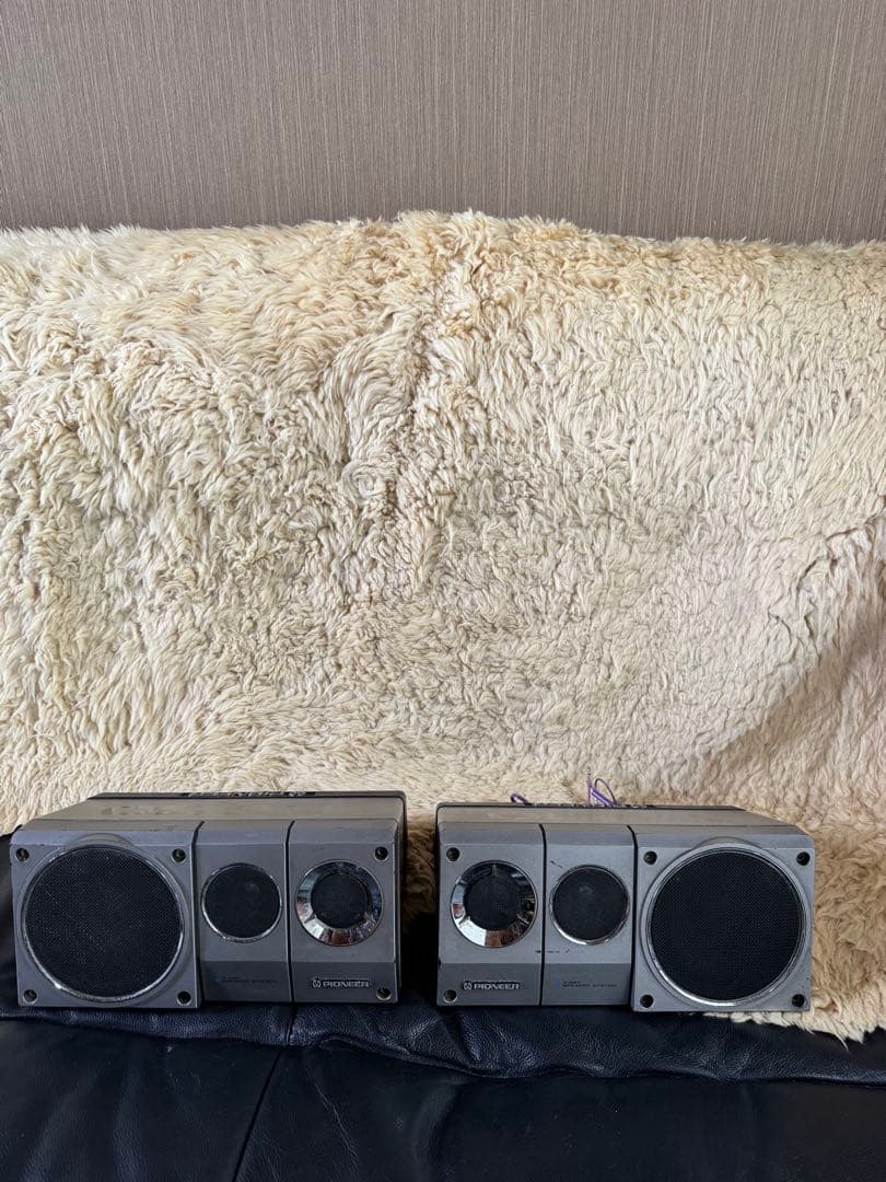 Pioneer TS-X10 据置型スピーカーused希少！