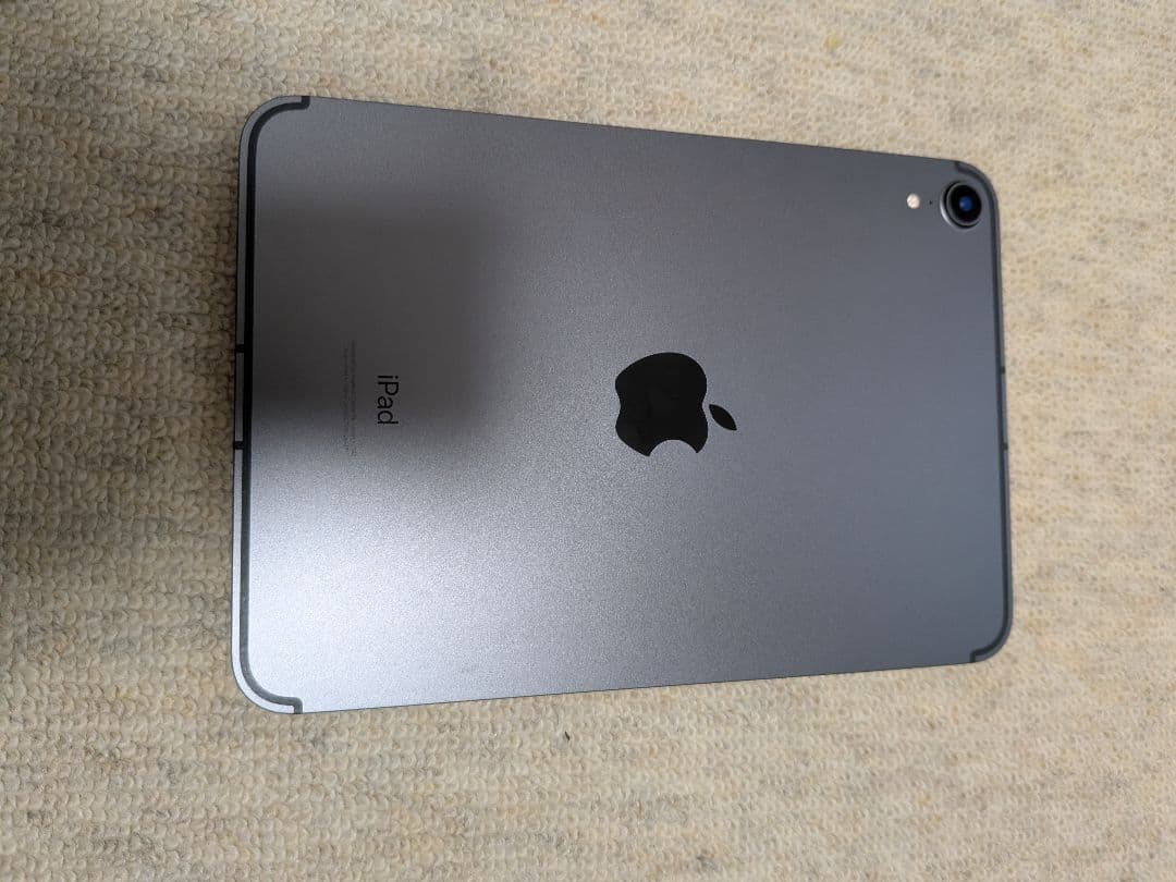 Apple iPad mini (スペースグレー) 8.3インチ
