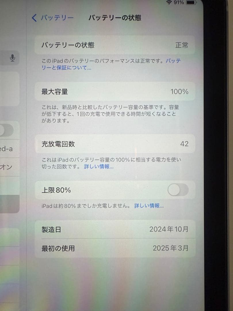 iPad mini(A17Pro)Wi-Fi+cellular 256GBブルー