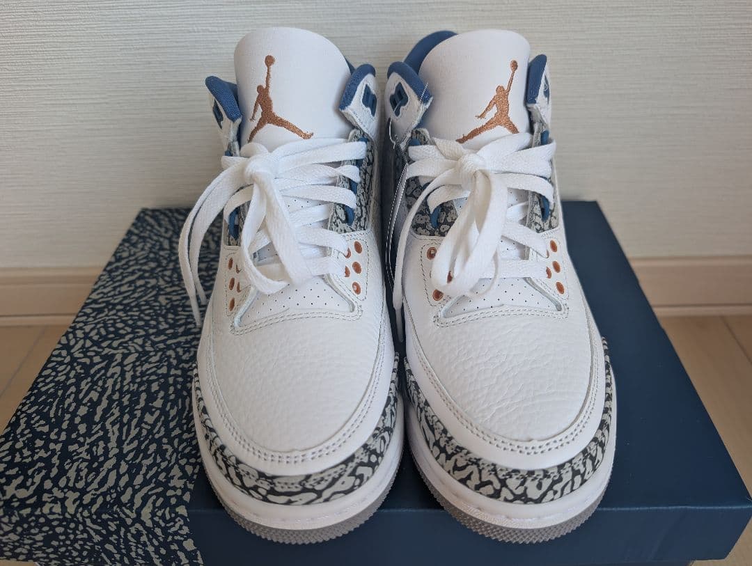 本日限り！新品未使用Air Jordan 3 ウィザーズ　25cm