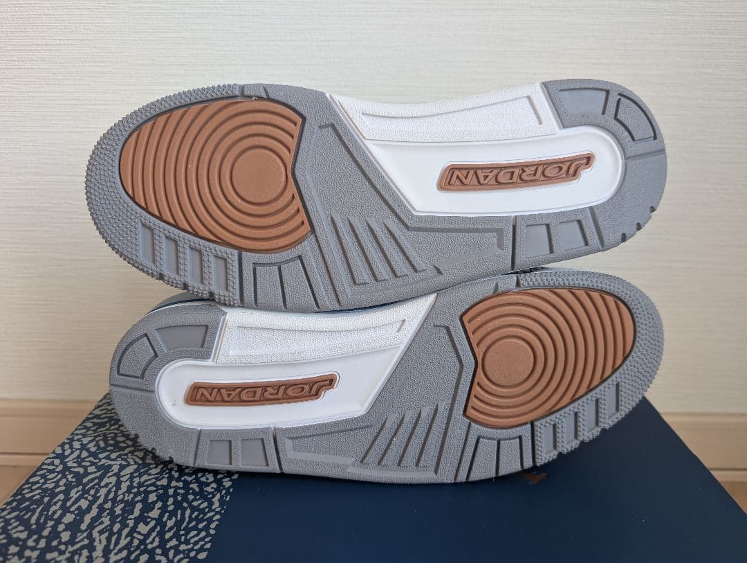 本日限り！新品未使用Air Jordan 3 ウィザーズ　25cm