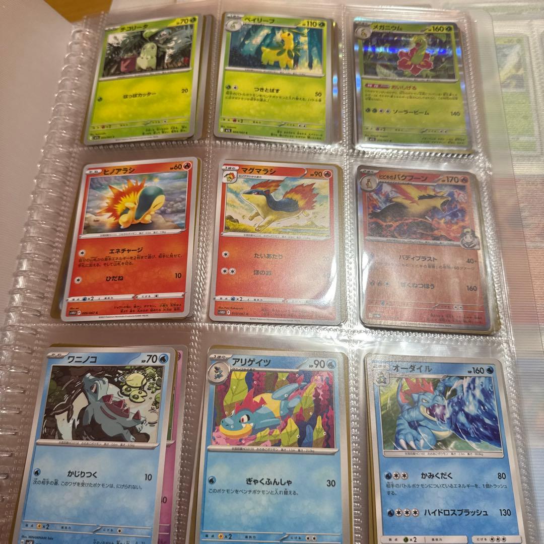 ポケモンカード　Ver ポケモン図鑑　コンプリート No.1〜1025