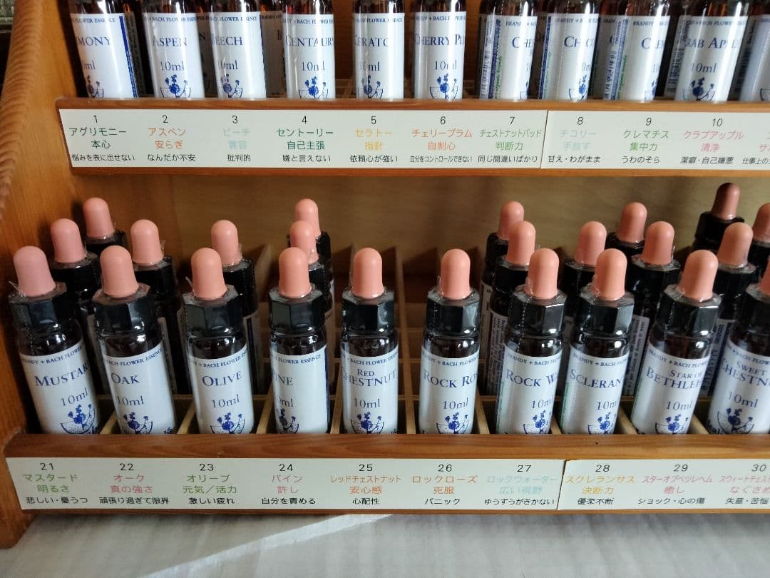 まりりん♪1740+1640×6=11580■ヒーリングハーブス社フラワー