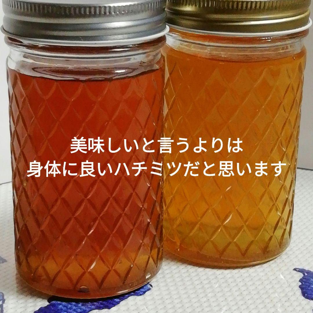 日本ミツバチ 日本蜜蜂　自然界2種類生ハチミツ400g2本　蜂蜜　はちみつ2年物