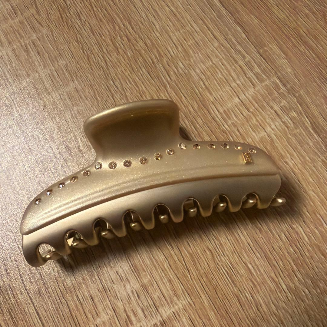 新品　ALEXANDRE DE PARIS L ヴァンドームクリップ　スワロ