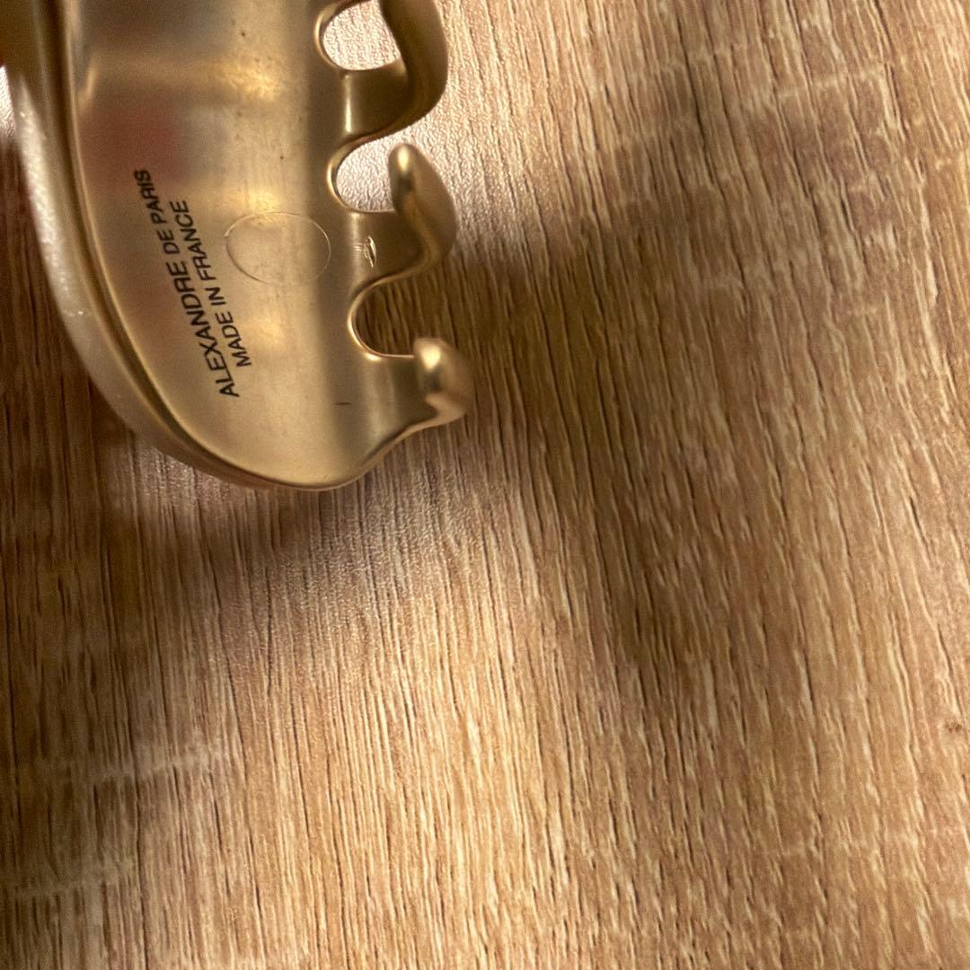 新品　ALEXANDRE DE PARIS L ヴァンドームクリップ　スワロ