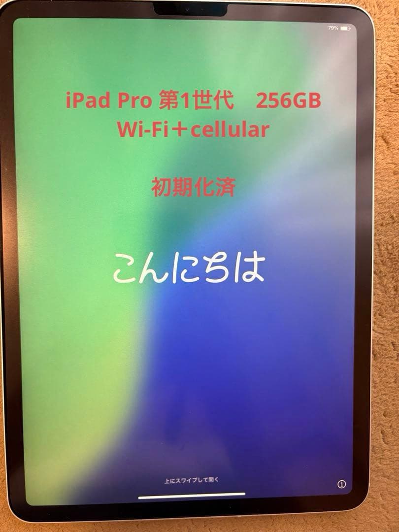 R*r様 iPad Pro (11インチ) 256GB Wi-Fi + Cell
