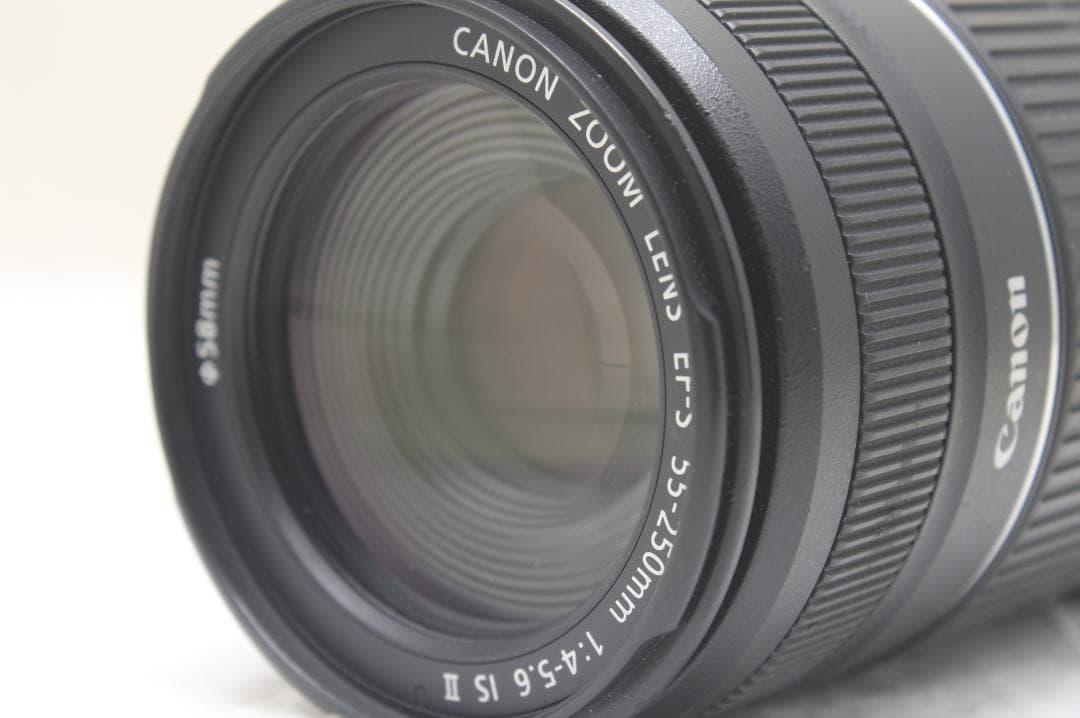 キヤノン EF-S 55-250mm F4-5.6 IS II 3865
