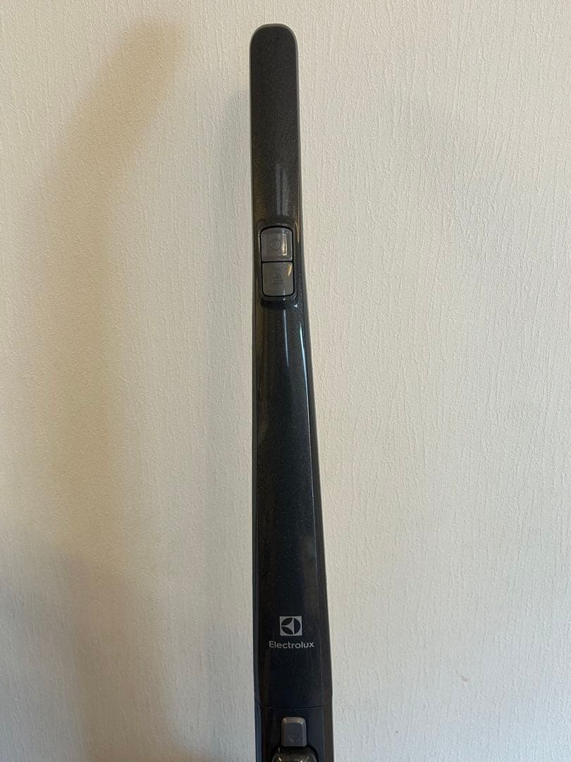 Electrolux エレクトロラックス 掃除機 ZB3502IGA