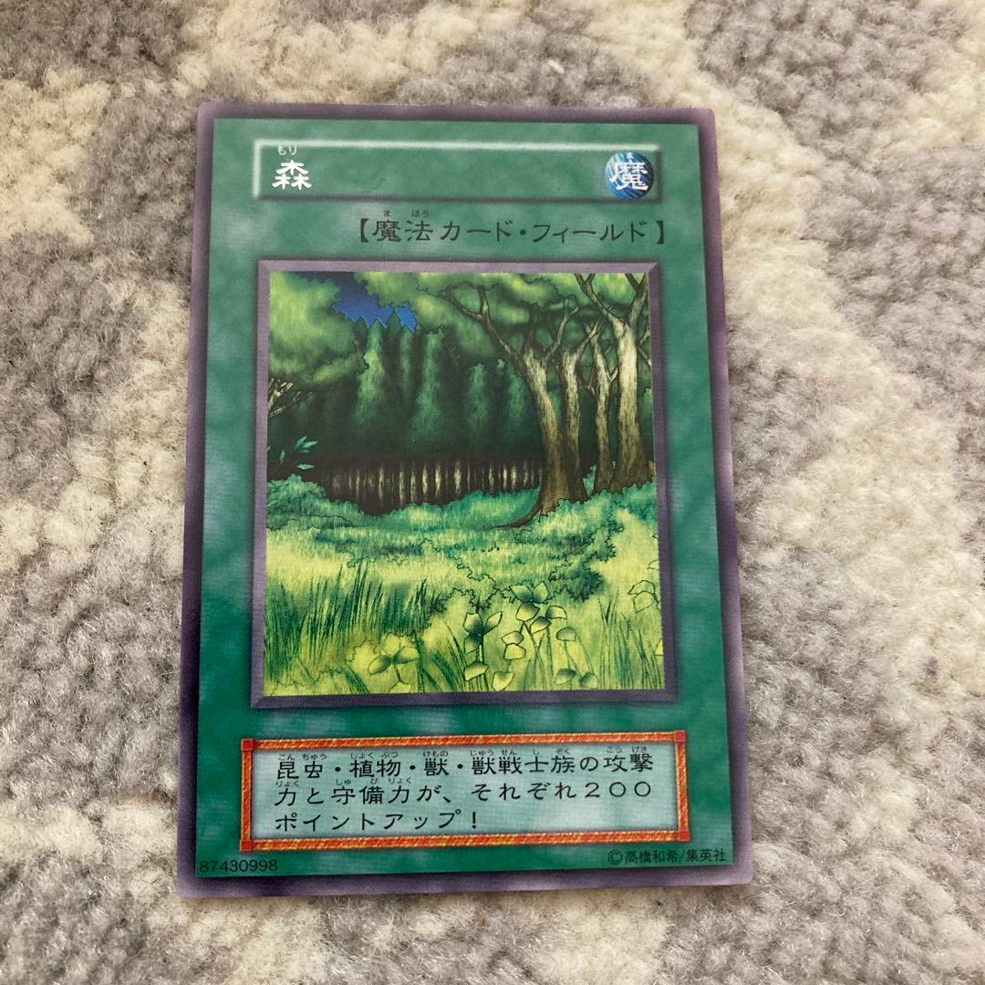 森、荒野、山、草原、海、闇　6枚セット