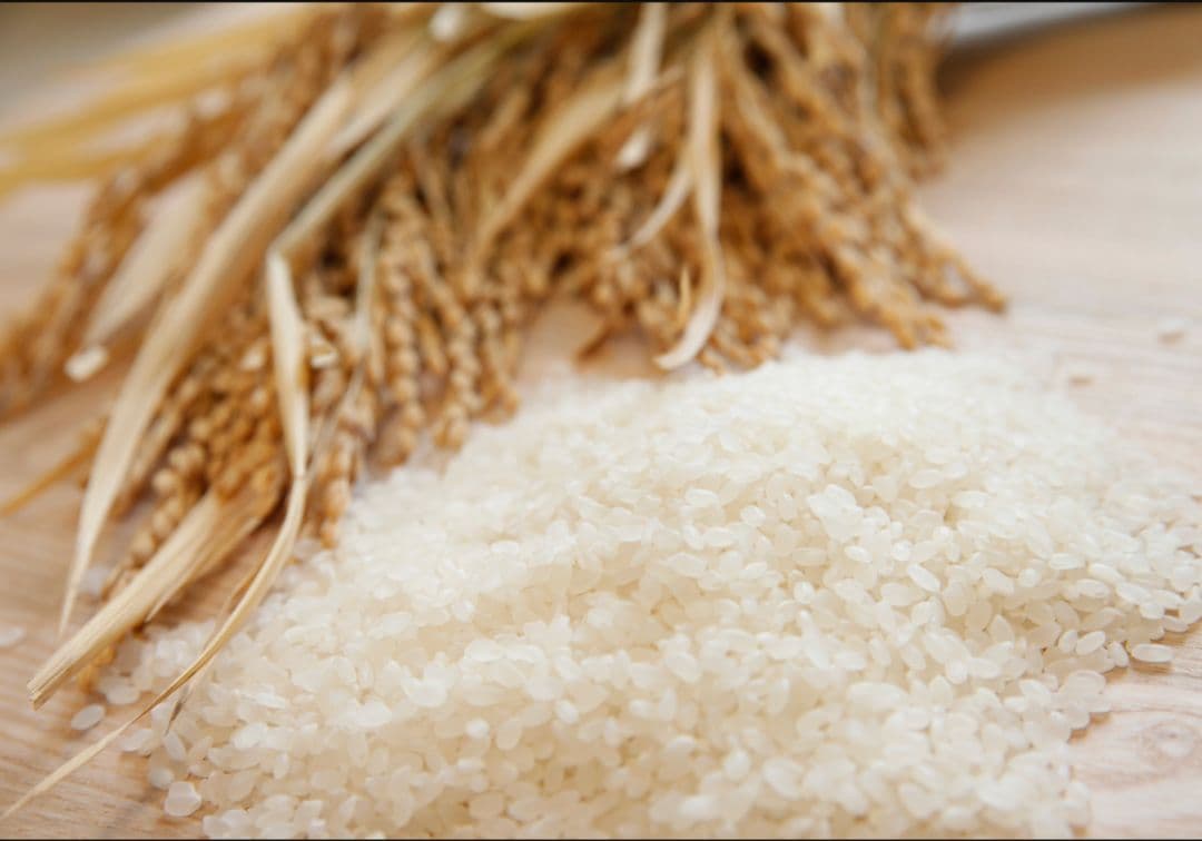 魚沼産コシヒカリ20Kg