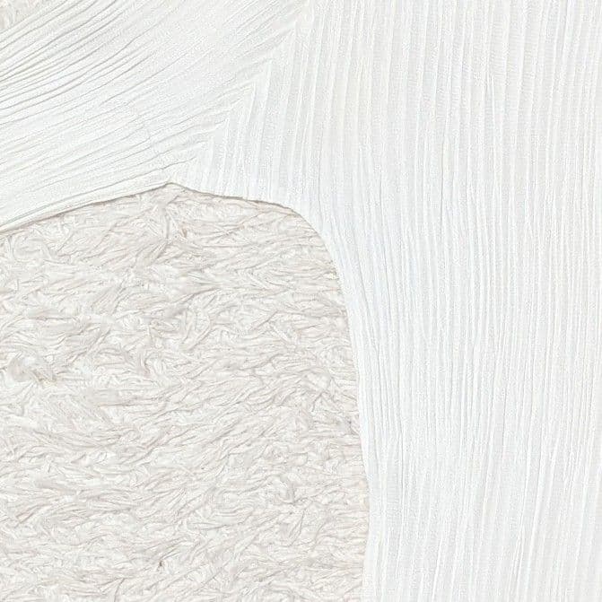 プリーツプリーズ 長袖 カットソー ハイネック 日本製 洗える LL ホワイト