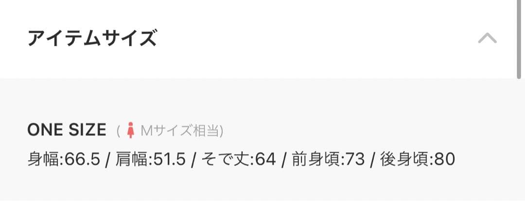 ホリデイ　PURITAN COLLAR DENIM SHIRT (O.WASH)