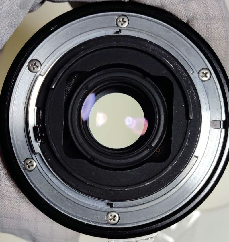 Micro-NIKKOR-P Auto55mm f/3.5　M2リング付